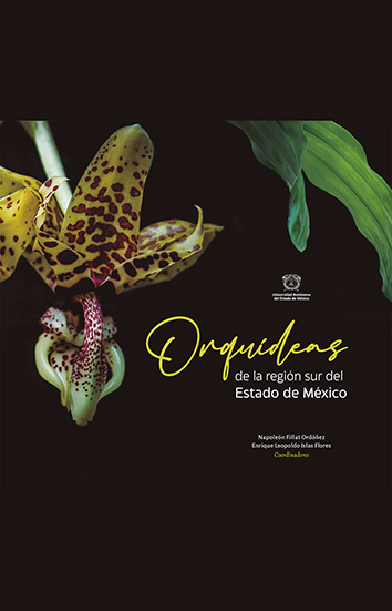 Una ventana a un jardín con orquídeas  Iliana Espinoza Rivera
