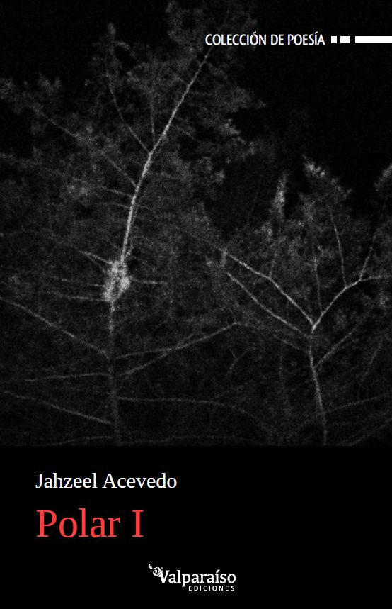 Polar I de Jahzeel Acevedo 